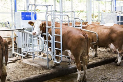 DeLaval OptiFeeder