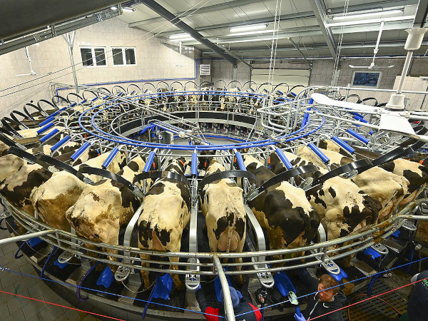 Hala DeLaval Karuzela