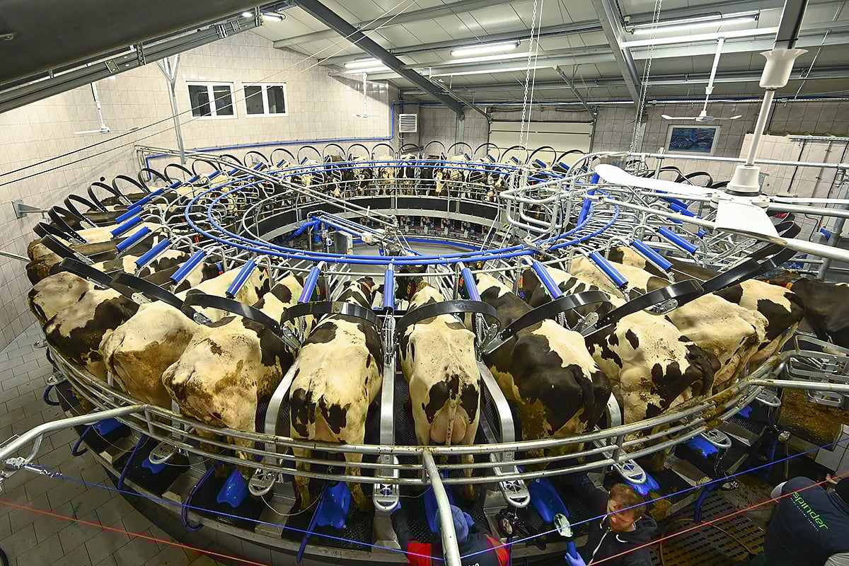 Hala Udojowa Karuzelowa